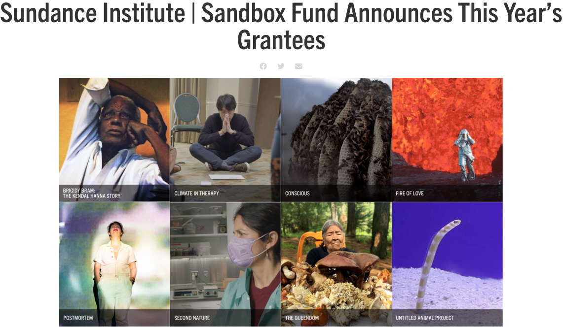 Sundance Institute Sandbox Fund